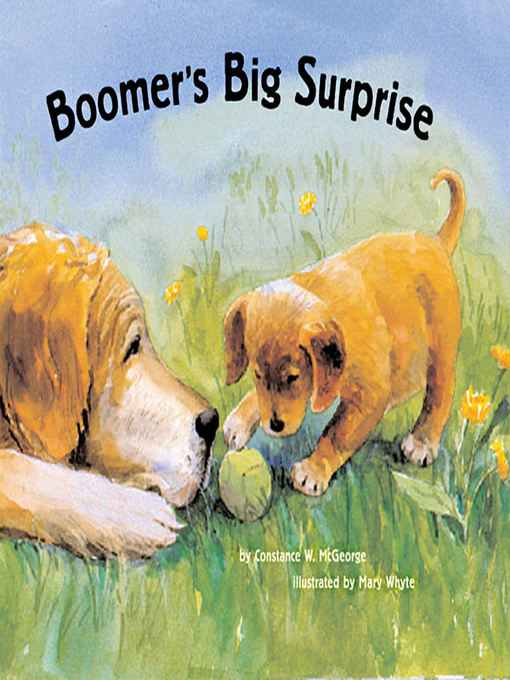 Title details for Boomer's Big Surprise by Constance W. McGeorge - Available